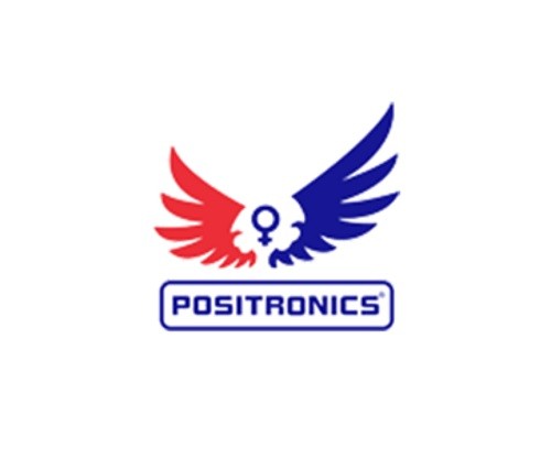 Super Cheese 5 Fem Positronics