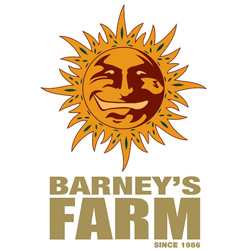 Acapulco Gold 1 Fem Barney´s Farm