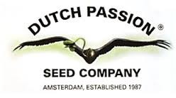 Think Different Auto1 Fem Dutch Passion