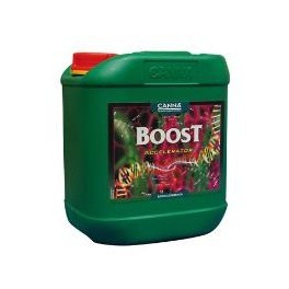 Boost Accelerator 10 L Canna