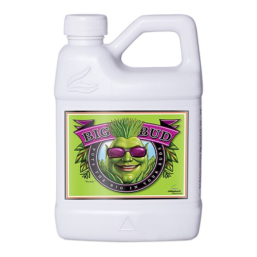 Big Bud 500ml Advanced Nutrients (12u/c)