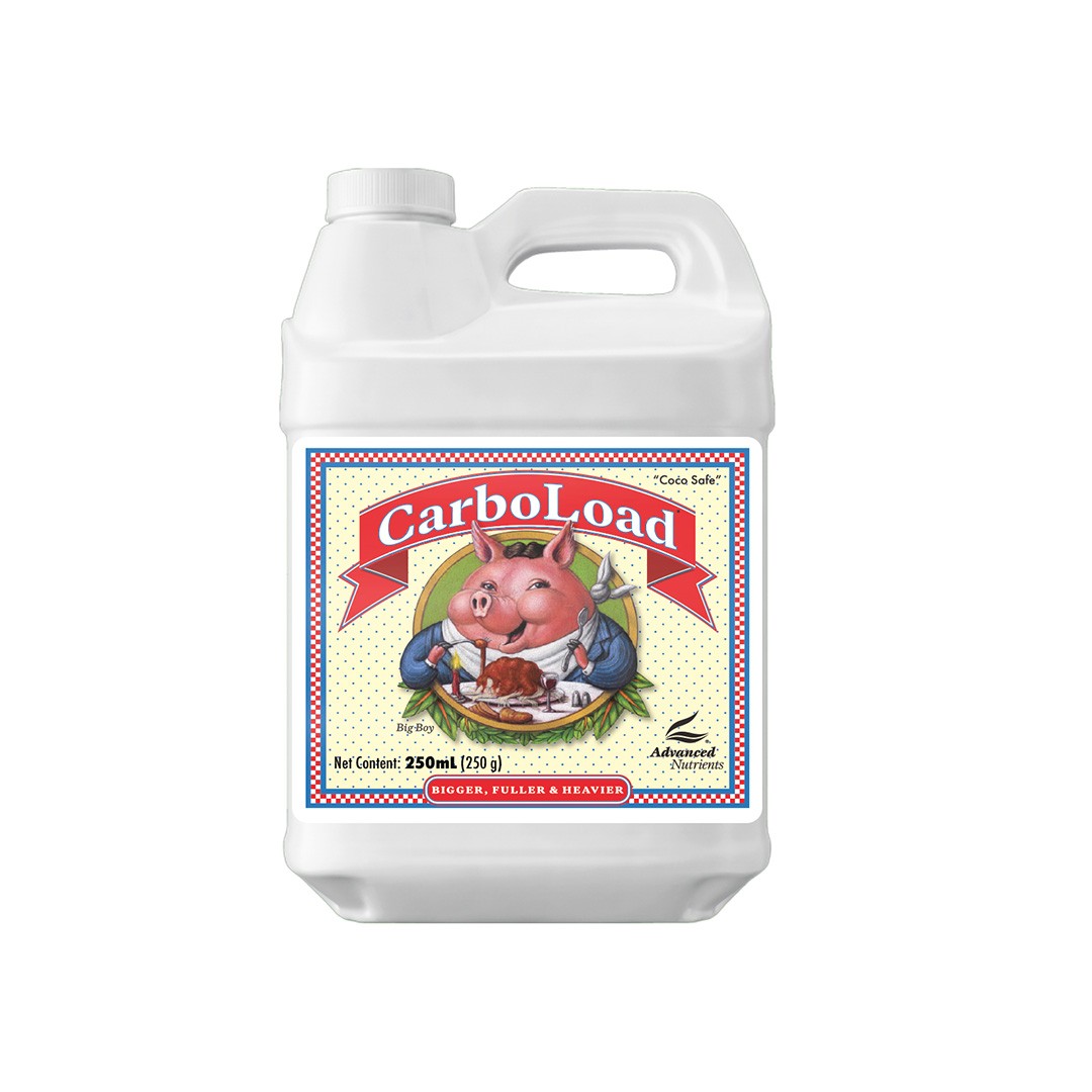 CarboLoad 250ml Advanced N (12u/c)