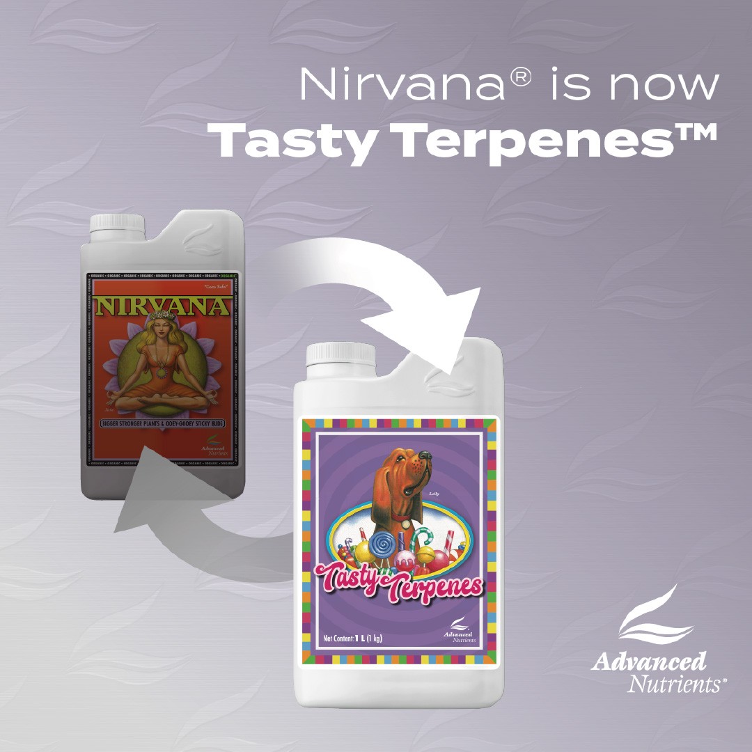 Tasty Terpenes 250ml Advanced N (12u/c)