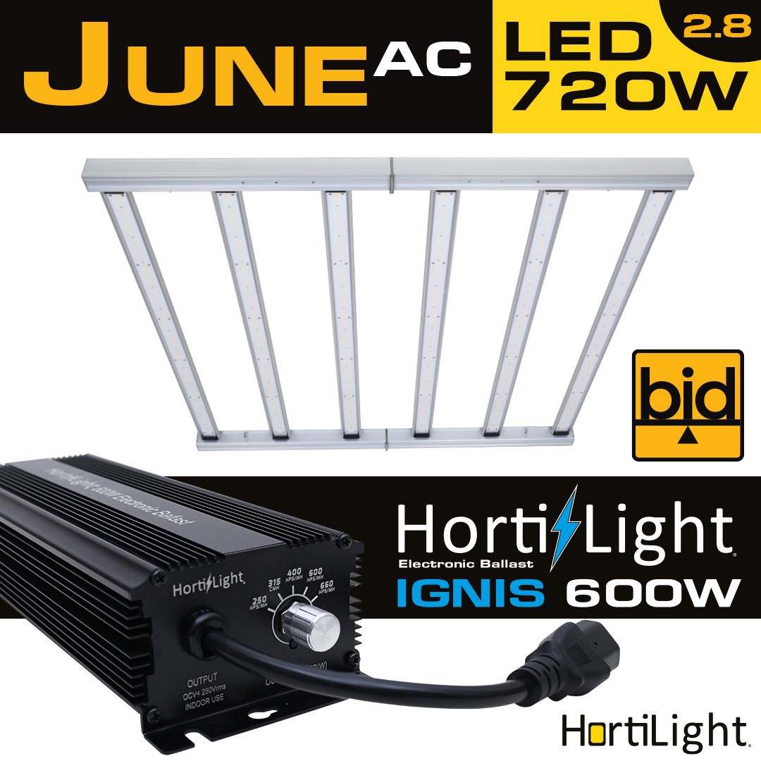 June AC 720 bid Hortilight