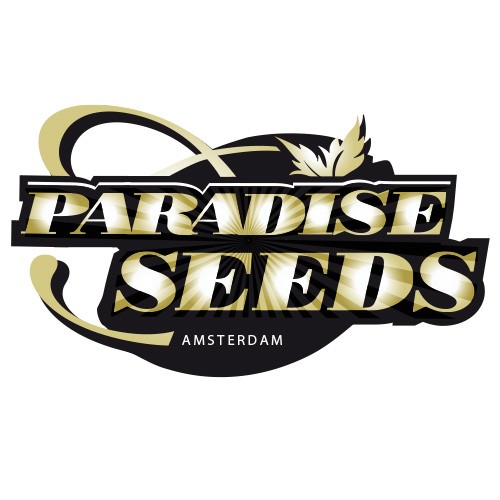 Nebula 50 Fem Paradise Seeds