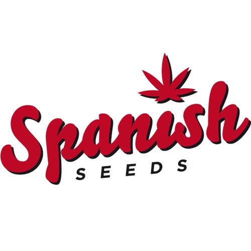 Auto Super Bud 50 Fem Spanish Seeds