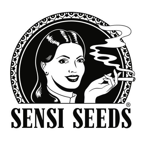 Honey Melon Kush Auto 3 Fem Sensi Seeds